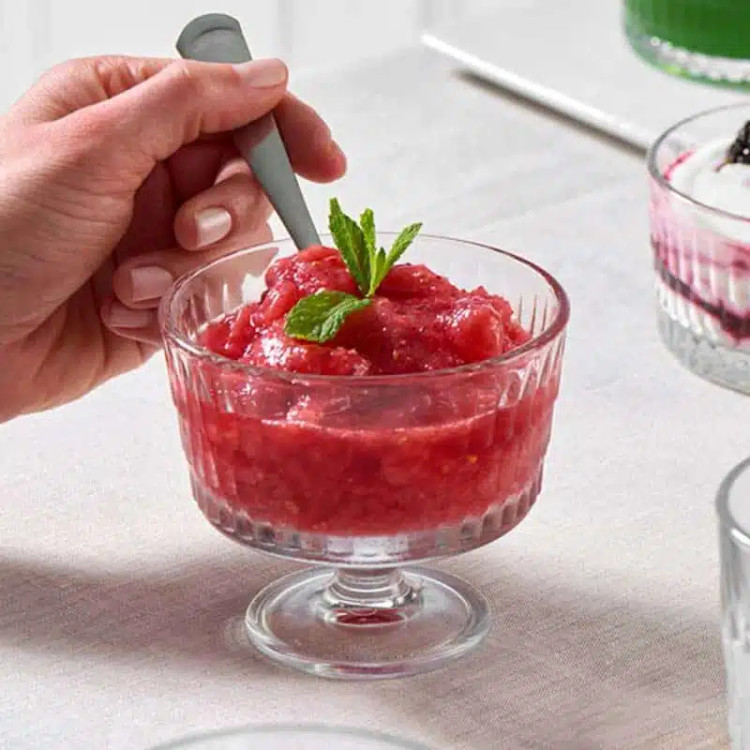 بستنی خوری رین پاشاباغچه Rain 255cc | ظرف دسر پایهدار شفاف 51809