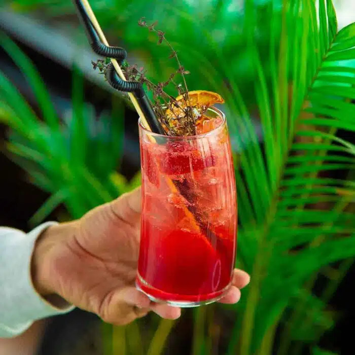 لیوان پنگوئن پاشاباغچه کد 42550 ظرفیت 390cc – شیشه شفاف و مقاوم مناسب نوشیدنیهای خنک